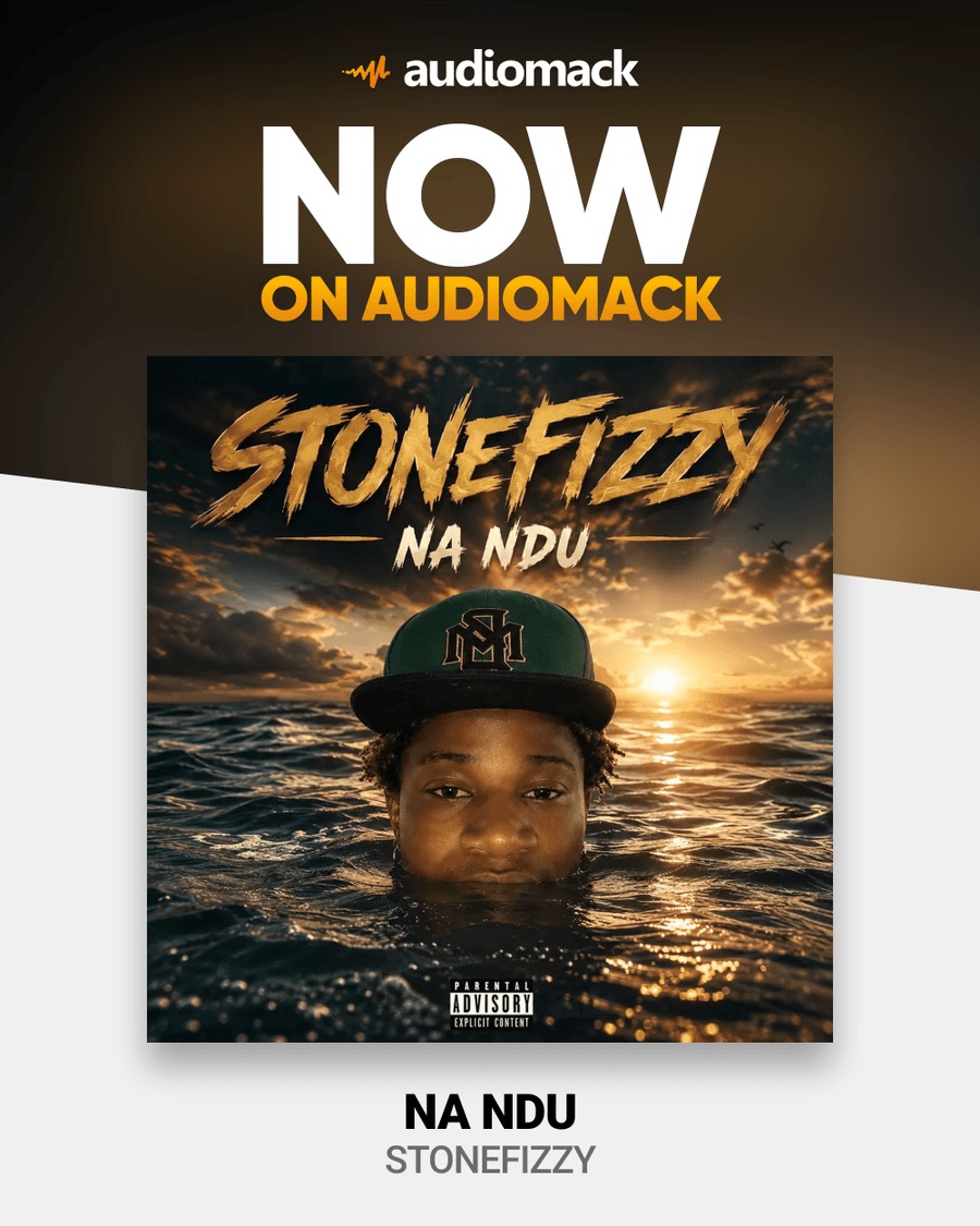 Stonefizzy album cover